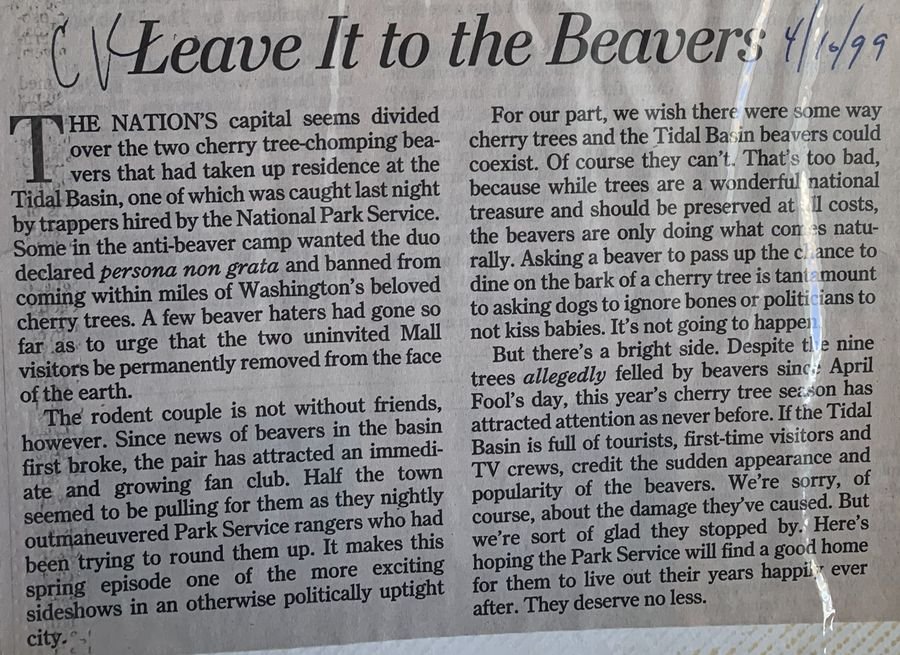 Leave It to the Beaver